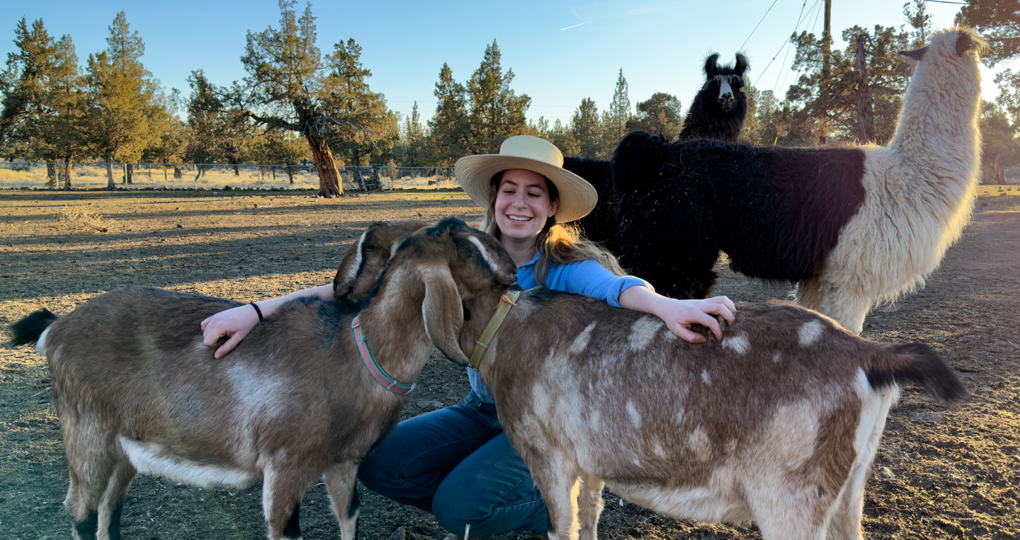 Rebecca petting goats with llamas behind her