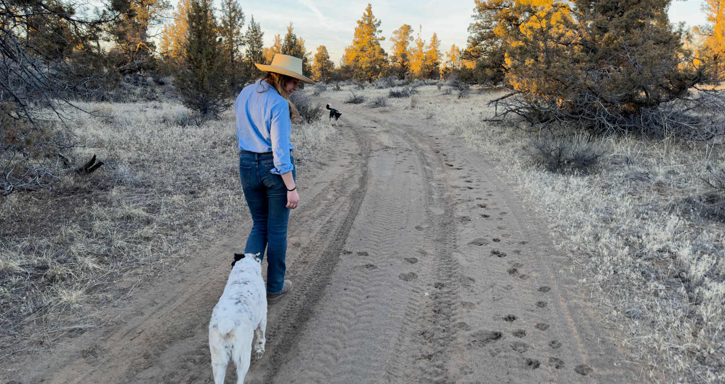 Rebeccas is walking with her cattle dogs by her side